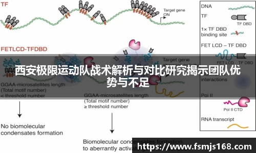 西安极限运动队战术解析与对比研究揭示团队优势与不足