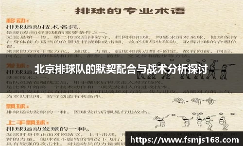 北京排球队的默契配合与战术分析探讨