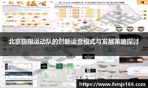 北京极限运动队的创新运营模式与发展策略探讨
